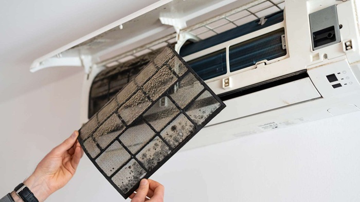 Can Water Leaks from AC Cause Mold Health Risks&nbsp;Explained